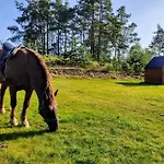 Gorskie Kaszuby ,golubie ,domek W Sielskim Klimacie ,niedaleko Jeziora Na Kaszubach-do 10 Osob,sauna ,balia,kominek, Cisza I Spokoj * Sikorzyno