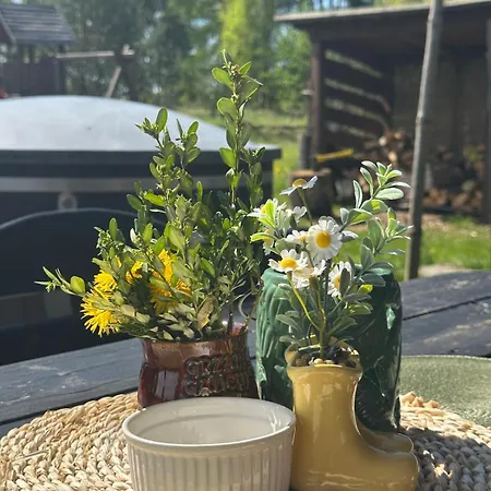 Gorskie Kaszuby ,golubie ,domek W Sielskim Klimacie ,niedaleko Stoku Koszalkowo Na Kaszubach-do 10 Osob,sauna ,balia,kominek,opcja Kuligu