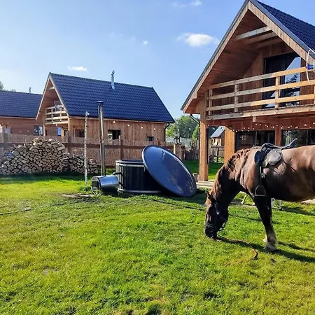 Gorskie Kaszuby ,golubie ,domek W Sielskim Klimacie ,niedaleko Stoku Koszalkowo Na Kaszubach-do 10 Osob,sauna ,balia,kominek,opcja Kuligu Vakantiehuis