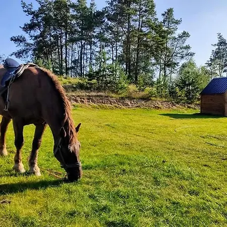 Gorskie Kaszuby ,golubie ,domek W Sielskim Klimacie ,niedaleko Stoku Koszalkowo Na Kaszubach-do 10 Osob,sauna ,balia,kominek,opcja Kuligu * Sikorzyno