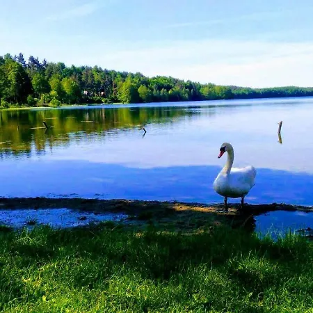 Vakantiehuis Gorskie Kaszuby ,golubie ,domek W Sielskim Klimacie ,niedaleko Stoku Koszalkowo Na Kaszubach-do 10 Osob,sauna ,balia,kominek,opcja Kuligu