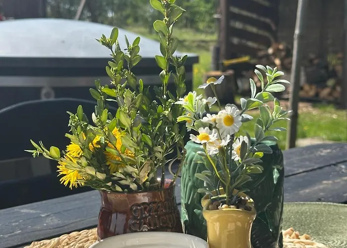 Gorskie Kaszuby ,golubie ,domek W Sielskim Klimacie ,niedaleko Stoku Koszalkowo Na Kaszubach-do 10 Osob,sauna ,balia,kominek,opcja Kuligu