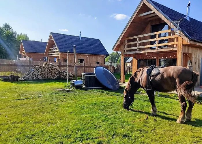 Gorskie Kaszuby ,golubie ,domek W Sielskim Klimacie ,niedaleko Stoku Koszalkowo Na Kaszubach-do 10 Osob,sauna ,balia,kominek,opcja Kuligu بيت للعطل