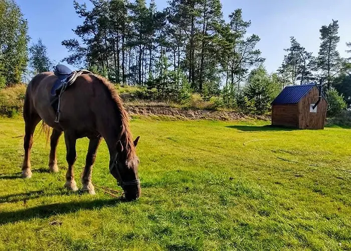 Gorskie Kaszuby ,golubie ,domek W Sielskim Klimacie ,niedaleko Stoku Koszalkowo Na Kaszubach-do 10 Osob,sauna ,balia,kominek,opcja Kuligu * Sikorzyno