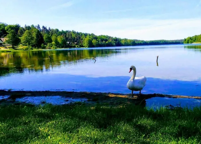 بيت للعطل Gorskie Kaszuby ,golubie ,domek W Sielskim Klimacie ,niedaleko Stoku Koszalkowo Na Kaszubach-do 10 Osob,sauna ,balia,kominek,opcja Kuligu